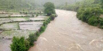 नदियों के बढ़ते जल स्तर पर जिला प्रशासन सतर्क : DM