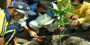 हरेला पर्व पर राज्यपाल व मुख्यमंत्री ने किया वृक्षारोपण