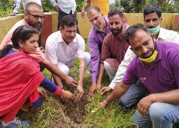 चौपड़ियाल गांव में दिनेश धनै किया वृक्षारोपण