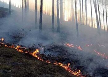 वन विभाग और जागरूक लोगों ने बुझाई मैधार गांव के निकट लगी आग