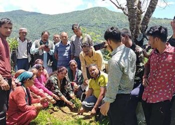 हरेला पर ब्लाक प्रमुख श्रीमती बसुमति घनाता ने अखोड़ी में रोपे फलदार पौधे