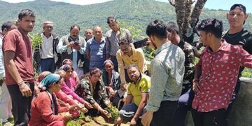 हरेला पर ब्लाक प्रमुख श्रीमती बसुमति घनाता ने अखोड़ी में रोपे फलदार पौधे