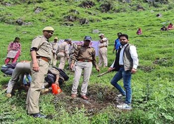 भिलंग पट्टी में वन महोत्सव कार्यक्रम में हुआ  वृक्षारोपण