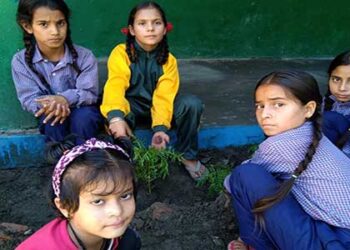 किन्डर गार्टन एजुकेशन अकादमी में मनाया गया हरेला पर्व