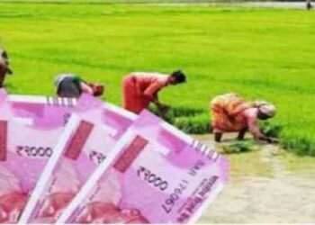 किसान सम्मान निधि पाने कल से करा लें  ई-KYC, वरना बंद हो जाएंगे पैसे आना