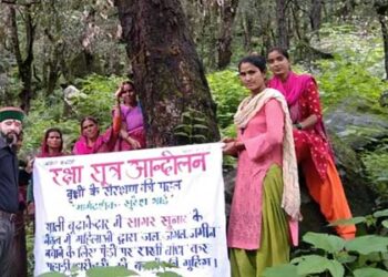 बूढ़ाकेदार में पेड़ों पर भी बांधी गई राखी