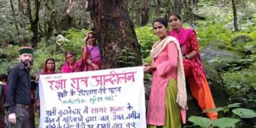 बूढ़ाकेदार में पेड़ों पर भी बांधी गई राखी
