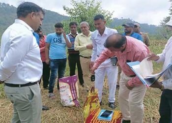 जगधार में धान फसल की औसत उपज और उत्पादन के आंकड़े संकलन