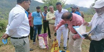 जगधार में धान फसल की औसत उपज और उत्पादन के आंकड़े संकलन