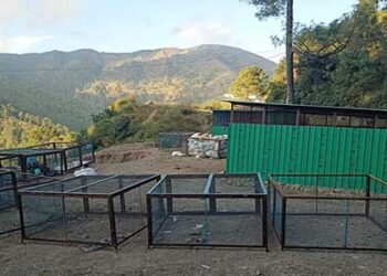 नगर पंचायत गजा में हुई कूड़ा निस्तारण की व्यवस्था