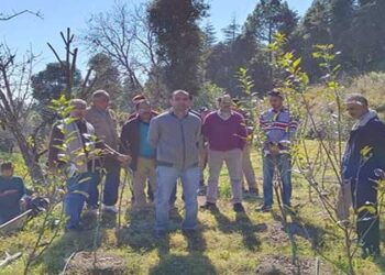 चौंरा गांव के महेंद्रराज भट्ट कर रहे प्रेरणादाई काम