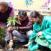हरेला पर मुख्यमंत्री आवास परिसर में पौधारोपण