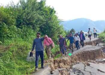 बूढाकेदार, भिलंग में आपदा से हुआ इतना नुकसान